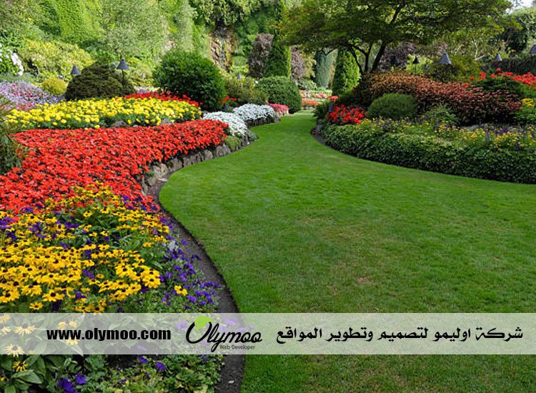 تركيب عشب صناعي بالرياض