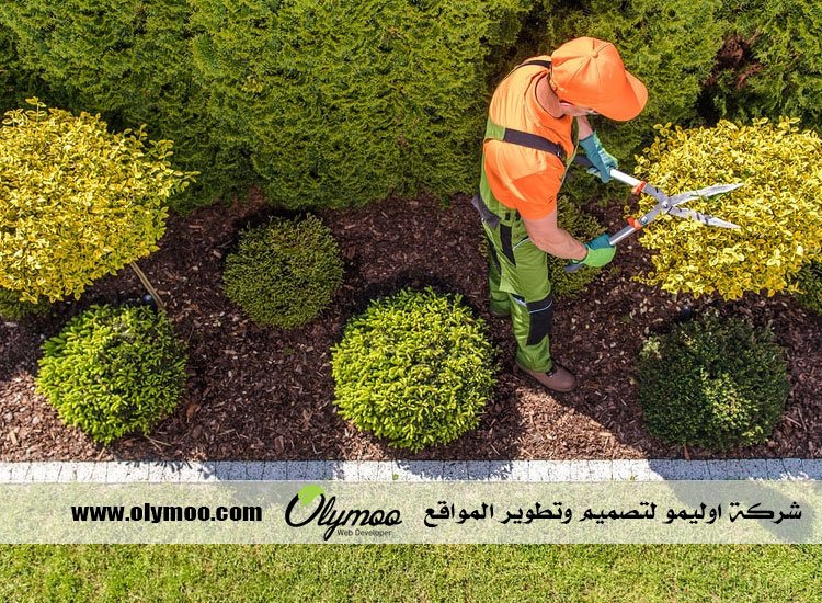 شركة تنسيق حدائق بالرياض