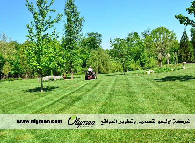 شركة تنسيق حدائق بالرياض