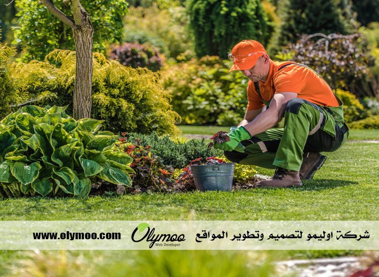 شركة تنسيق حدائق بالرياض