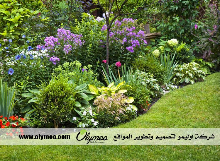 تنسيق حدائق